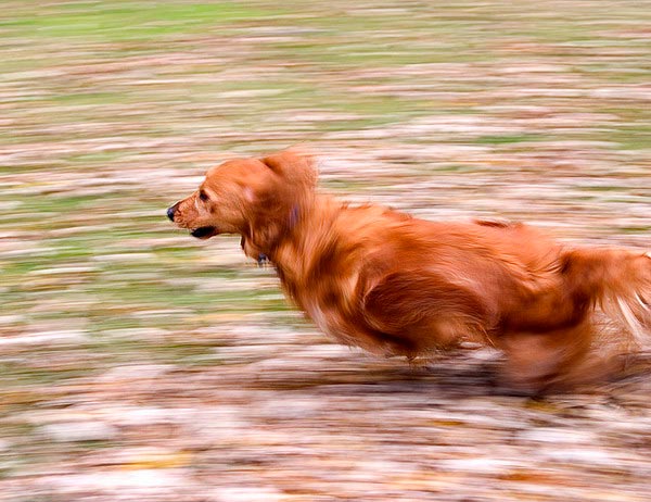 03 How to Capture Motion Blur in Photography