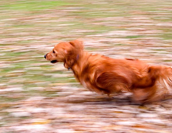 03 How to Capture Motion Blur in Photography 03 How to Capture Motion Blur in Photography