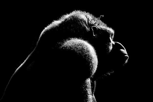 The Timeless Appeal of Black and White Photography