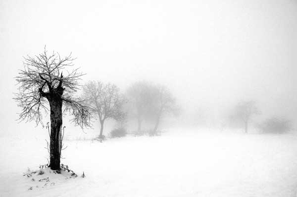 14 30 Amazing Winter Photos