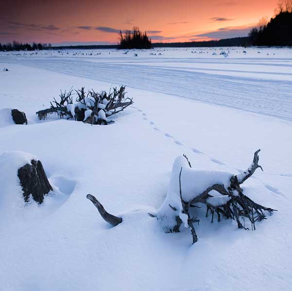 24 30 Amazing Winter Photos
