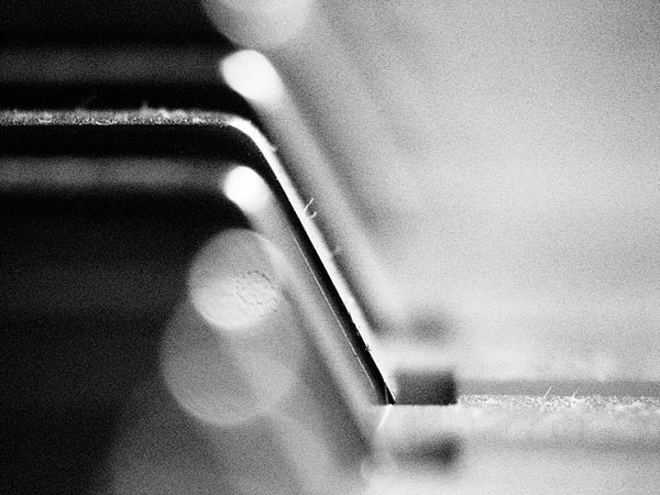 5 Pieces of Equipment to Venture into Macro Photography 2 5 Pieces of Equipment to Venture into Macro Photography