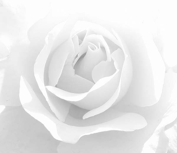 18 Beautiful Bright Examples Of High Key Photography 18 Beautiful Bright Examples Of High Key Photography