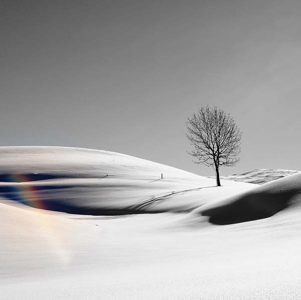 Tips for Shooting Winter Scenes