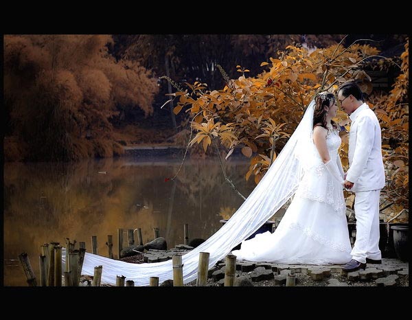 Miami Wedding Photographer