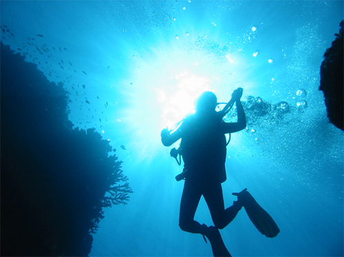 Underwater Photography