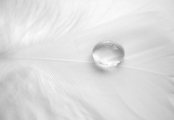 18 Beautiful Bright Examples Of High Key Photography 18 Beautiful Bright Examples Of High Key Photography