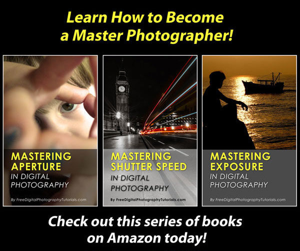 Learn how to become a master digital photographer